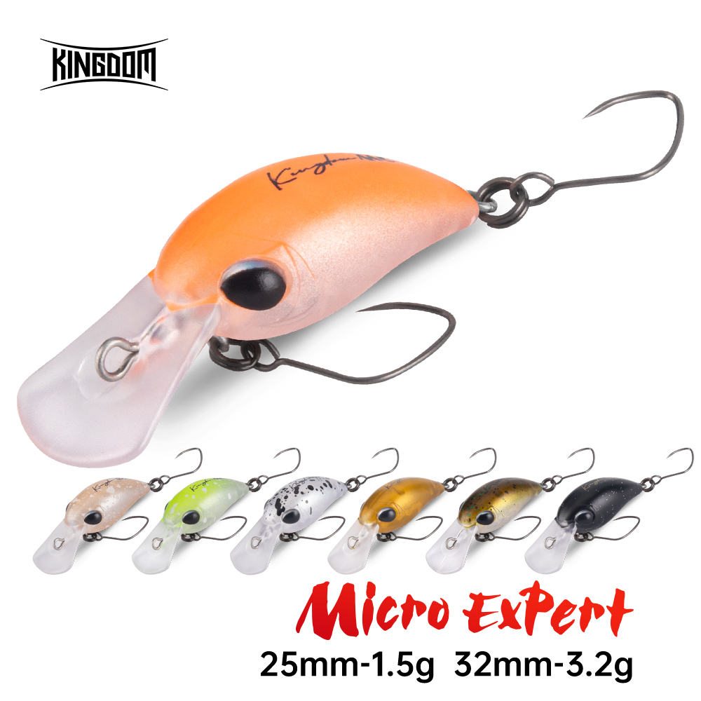 Koninkrijk Vissen Lokken Micro - Fishing Lure Crankbait recensie en prijs